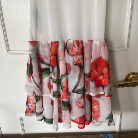 Babylon Dress Sheer Crepe Size 6 - Vacation, Resort, Beach - Picture 3 of 11